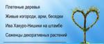 декоративные растения