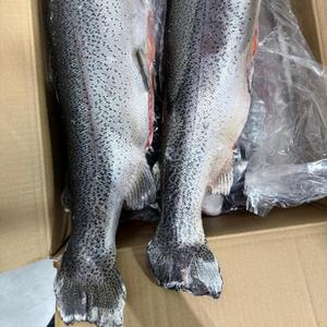 Форель ПБГ, С/М 

Размер: 1,5-2 кг, 2-3кг