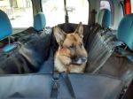 Гамак для собак на заднее сиденье