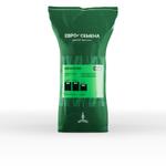 Травосмесь Евро-Семена Мегаполис