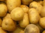 Опт&Розница — овощи, картофель оптом