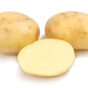Сорт-Коломба. Очень ранний, жёлтый картофель.  Мякоть жёлтого цвета.