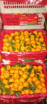 фрукты, овощи, сухофрукты, конфеты оптом и в розницу