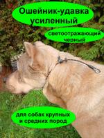 ошейник удавка для собаки