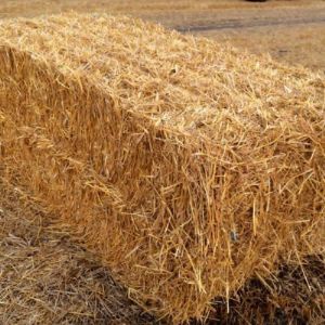 Солома пшеничная в кипах 60х50х50, 17 кг рязанское