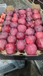 Свежие яблоки оптом.