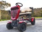 TWIN SEATER GOLF CART 4 WHEELS DRIVE 3200W swicoo 60V 800W x 4pcs