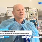 Компания Регион-К — сбор и переработка дикоросов ДАРЫ-ЮГРЫ-ХМАО