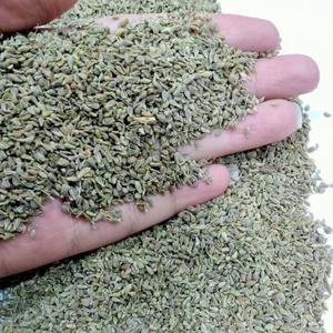 Anise