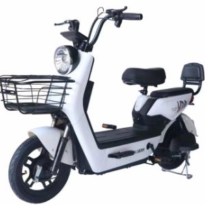 Мы предлагаем различные типы Ebike и скутеров по низким ценам.