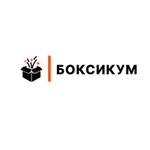 Боксикум — детские сюрприз-боксы