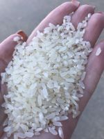 Жемчужина Кубани — рис оптом