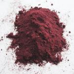Порошок из черноплодной рябины