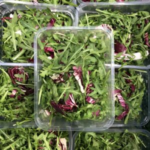 RUCOLA + RADICCIO 8X125G