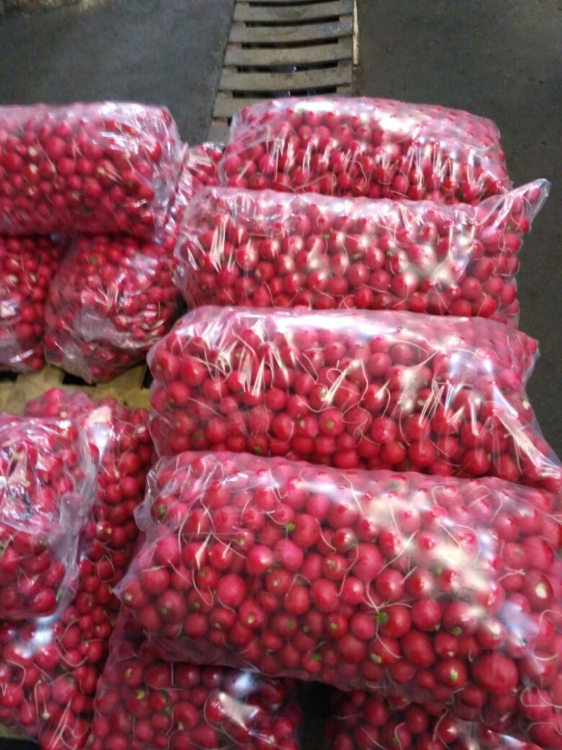 масло сливочное монолит 20 кг. строительные материалы паллета. геркулес 3 кг. чебуреки весовые горячая штучка. паллеты с коробками шоколада.