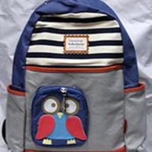 детскbй рюкзак Funny Owl. Рюкзак для школьников, которые выделиться. изготовлен из брезента с водоотталкивающей пропиткой.