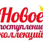 НОВЫЕ ПОСТУПЛЕНИЯ