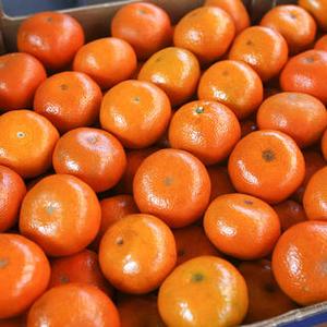 Сладкий мандарин из Ирана