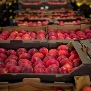 Яблоко Айдаред Оптом
