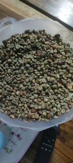 ROBUSTA GREEN COFFEE BEANS