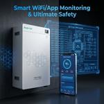 Оптовая продажа настенных литий-ионных аккумуляторов LiFePO4 для солнечных энергосистем: 5 кВт·ч, 10 кВт·ч, 15 кВт·ч; 24 В, 48 В; 100 А·ч, 200 А·ч, 300 А·ч. 15kwh