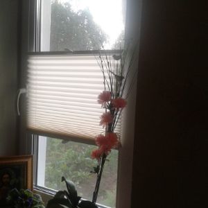 жалюзи плиссе на окна