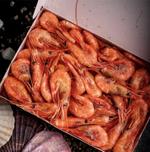 Креветка (варено-мороженая, с/м, разные калибры) Оптлайн