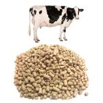 КомбикормАлтай — поставщик кормов в России