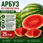Арбуз оптом из Узбекистана с доставкой в РФ/СНГ — от 20 тонн, прямые поставки, выгодные цены