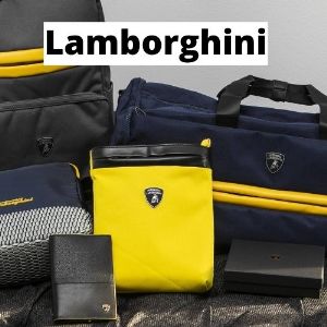 Сегодня мужские сумки марки Tonino Lamborghini отличаются своей изысканностью и шиком, они неповторимы и элегантны, чаще всего решены в классических цветах – черном, красном и желтом. Оригинальные блестящие или матовые стальные вставки дополняют стильный образ сумок. Главной идеей товаров марки Tonino Lamborghini является неизменно высокое качество, будь то сумки, портмоне, кожаные ремни, чехлы или пепельницы.  . Только самые лучшие материалы используются при создании этих утонченных, шикарных итальянских аксессуаров. На всех изделиях можно увидеть фирменный знак бренда Tonino Lamborghini - щит с быком, такой же, как и на спортивных автомобилях.