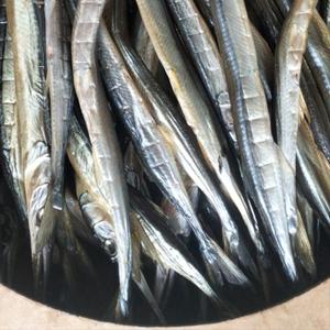 Сарган хк оптом