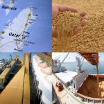 Цены на пшеницу в Катаре