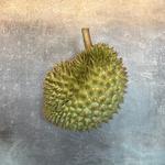 Дуриан плод True fresh Ri6 1