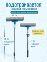 Окномойки обычные