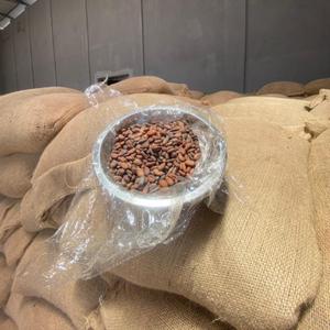 Какао бобы в мешках на складе в Конакри