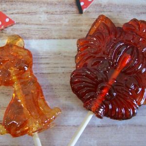 Щенок 18 грамм
Йоркширский терьер 30 грамм