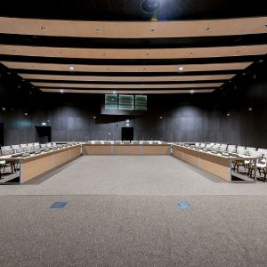 Инновационный центр Сколково.
Конференц зал, акустические шпонированые панели.