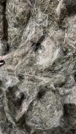 Льноволокно короткое