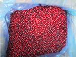 Frozen lingonberry whole