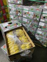 бананы газированные и без газирования оптом