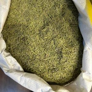 Rosemary (Dried)