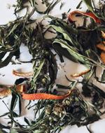 Конопляный чай Сибирская конопли