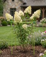 Опора для цветов Знатный САД Миди