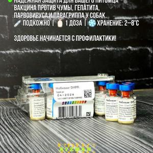 Нобивак DHPPI