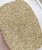 Киноа белая, киноа черная, киноа красная