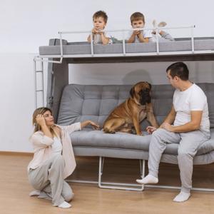 Диван-кровать трансформер Тандем 6