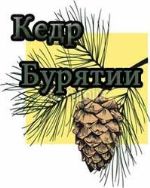 Кедр Бурятии — кедровые орехи и сопутствующая им продукция оптом
