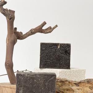 Қара сақар сабын-лечебное