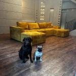 Диван Лофт 1