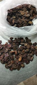 Почки кролика